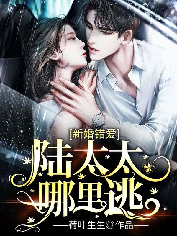 新婚错爱：陆太太哪里逃小说，新婚错爱：陆太太哪里逃免费阅读