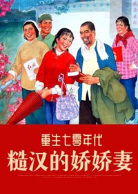 哪本书讲述了赵娇娇叶云奎的故事？