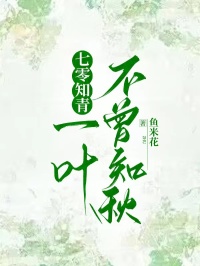 无删减精彩小说《七零知青，一叶不曾知秋》免费阅读