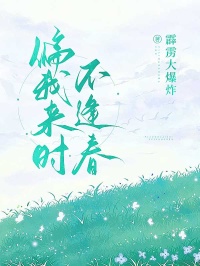 已完結小說《偏我來時不逢春》在線免費閱讀