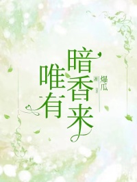 春夏周宇小说（唯有暗香来）无删减版阅读