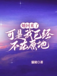 小说《她回来了，可是我已经不在原地》免费阅读