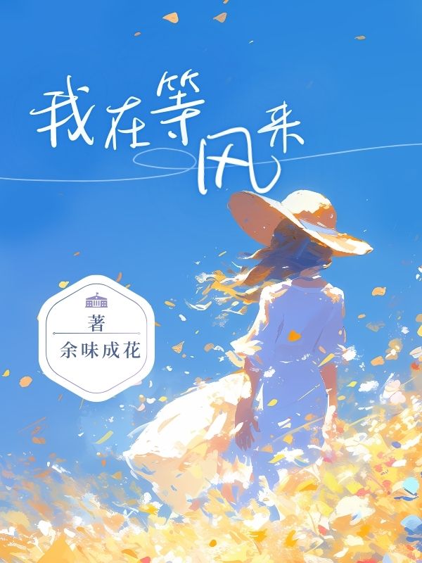 小说《我在等风来》免费阅读