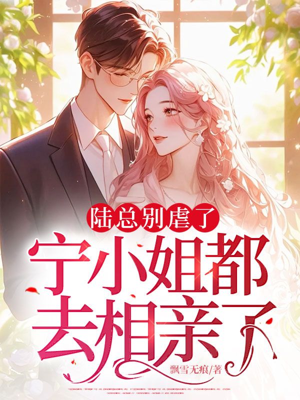 陆总别虐了,宁小姐都去相亲了宁安陆慎川小说在线章节目录阅读最新章节-冰糖文学