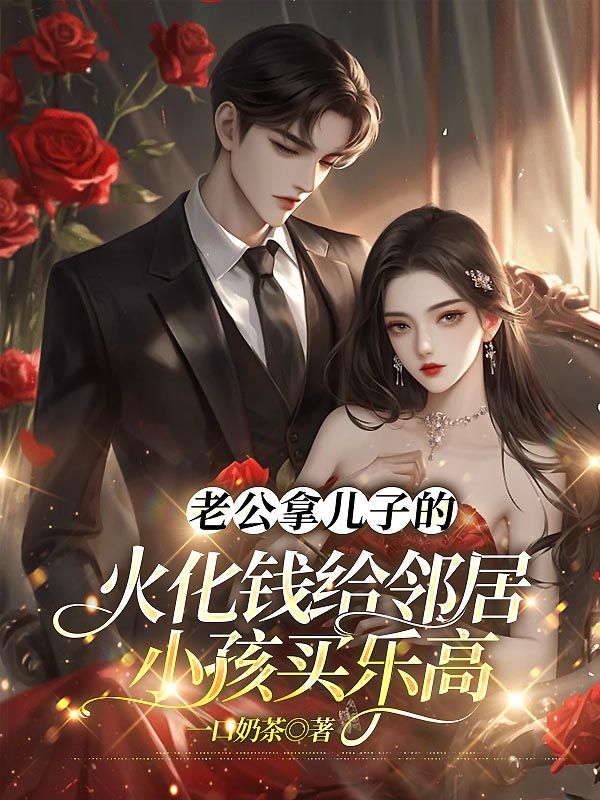 小说《老公拿儿子的火化钱给邻居小孩买乐高》免费阅读-艾米文学