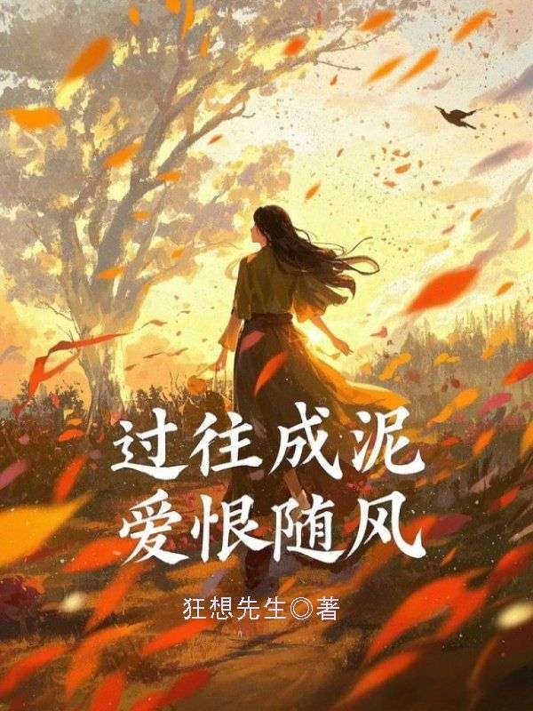 过往成泥,爱恨随风苏婉林城在线免费阅读