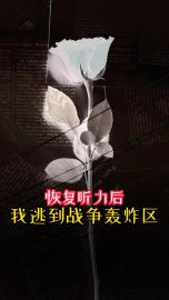 恢复听力后，我逃到战争轰炸区