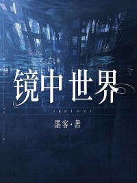 关于镜子镜中的精彩内容在哪本小说里？