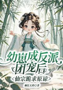 哪本书讲述了辛禧的情节？