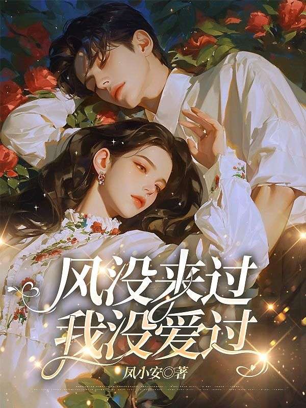 沈云澈苏阮小说(风没来过,我没爱过)无删减章节免费阅读-艾米文学