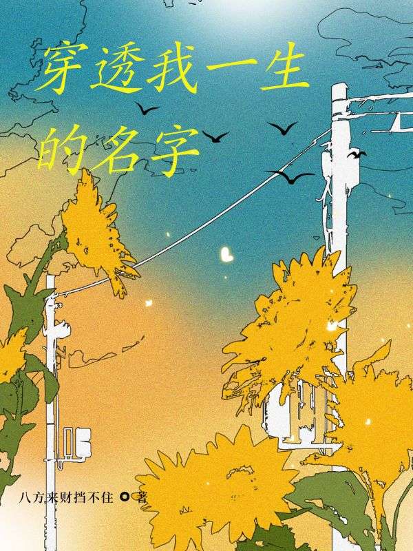 穿透我一生的名字全文章节