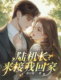 陆机长，来接我回家全文阅读