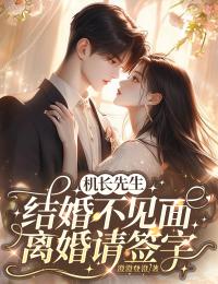 机长先生，结婚不见面，离婚请签字无弹窗全文