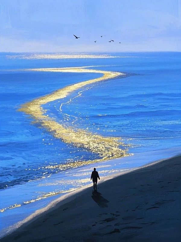 江昭黄奕雪《昭昭云端月，此意寄昭昭》小说章节目录免费阅读