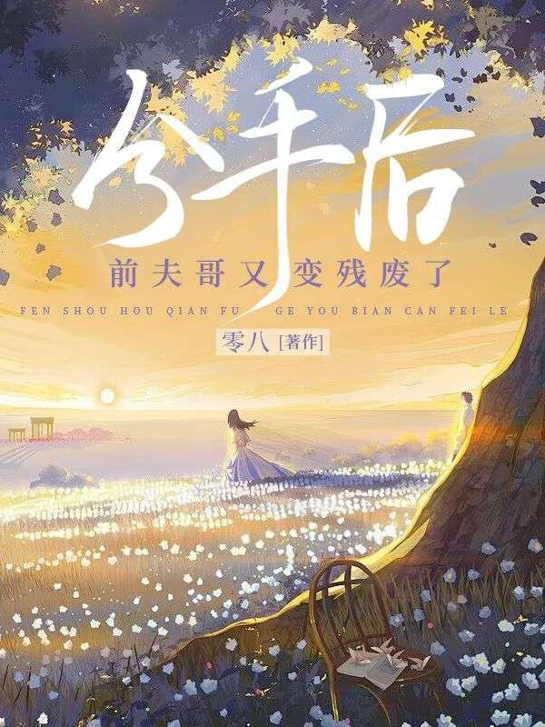 分手后,前夫哥又变残废了