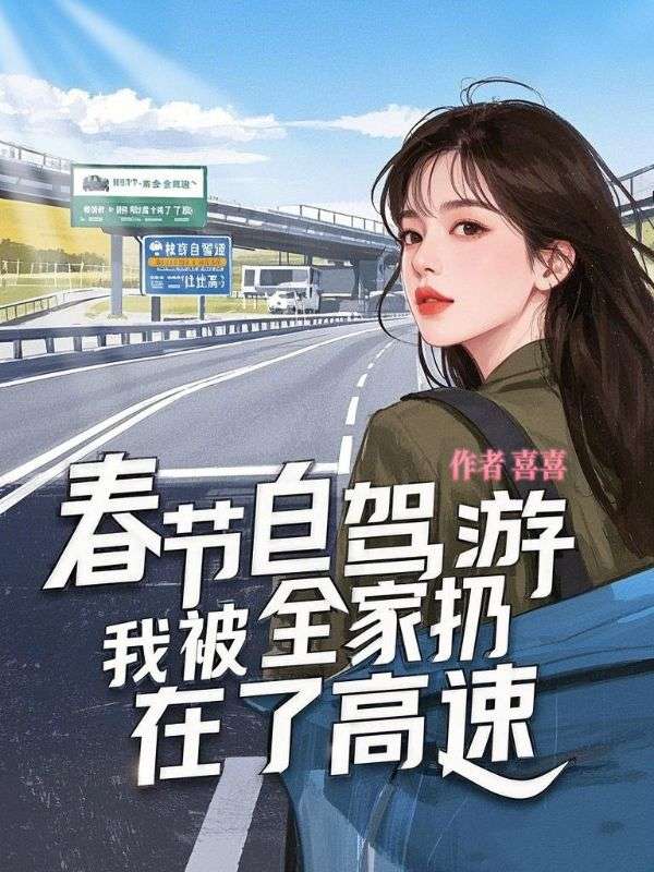 春节自驾游我被全家扔在了高速无删减好文