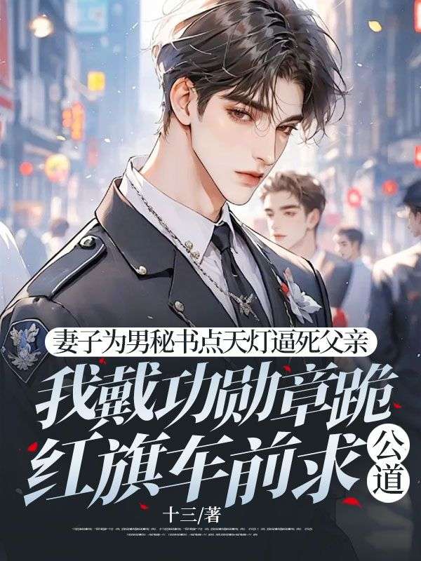 小说《妻子为男秘书点天灯逼死父亲,我戴功勋章跪红旗车前求公道》在线阅读-艾米文学