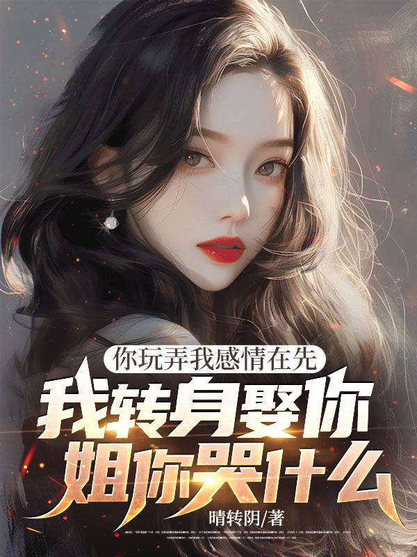  有关傅应川宋晚意的故事情节