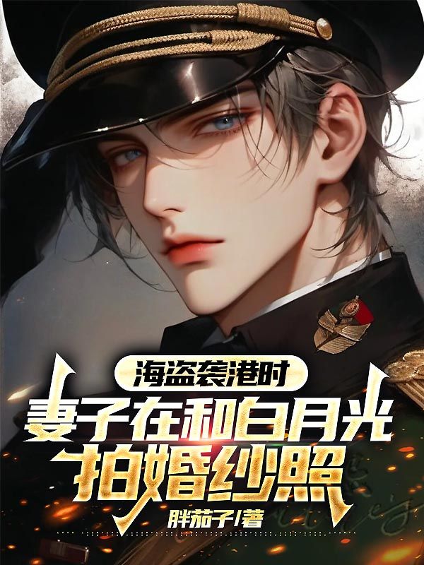 陈子穆傅清岚小说（陈子穆傅清岚海盗袭港时，妻子在和白月光拍婚纱照）章节无弹窗试读