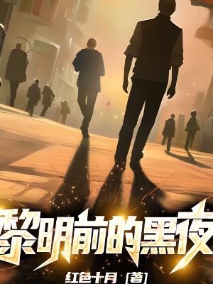 黎明前的黑夜终章（倪晓晨廖雅权）小说全集免费版阅读