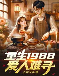 重生1988：爱人难寻附加+结局（李冰杜倩）无删减在线阅读