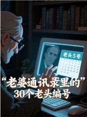 老婆通讯录里的30个老头编号火爆小说