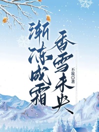 宋时微顾时野小说(渐冻成霜,香雪未央)无删减版阅读-冰糖文学