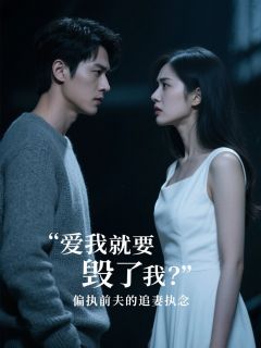 愛我就要?dú)Я宋?？偏?zhí)前夫的追妻執(zhí)念已更新小說結(jié)尾小說+外篇（林念晚于坤）純凈閱讀