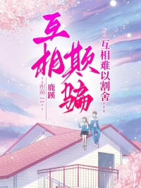 陆寒川小说(互相欺骗,互相难以割舍)无删减章节免费阅读-冰糖文学