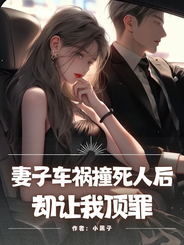 子坤夏茹小说（妻子车祸撞死人后，却让我顶罪）无删减章节免费阅读