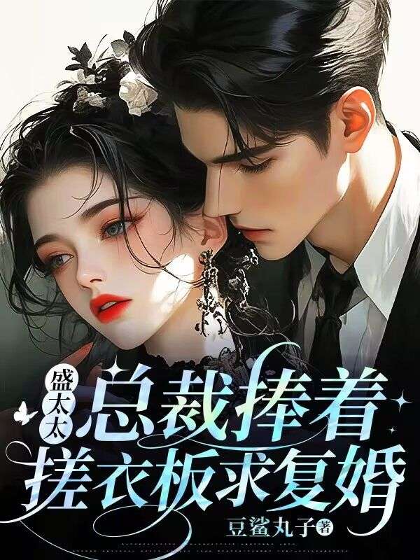 盛太太，总裁捧着搓衣板求复婚免费阅读（桑夏）小说完结版
