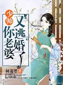 完整版《少帅：你老婆又要逃婚了》章节目录在线阅读