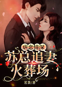 苏黎安林陌浅小说在线全文免费阅读（虐恋情深：苏总追妻火葬场无弹窗无删减）